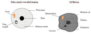 Nota kreatif biologi tingkatan 4: Sel Haiwan Biologi
