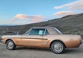 Image result for Prairie Bronze 1965 Mustang
