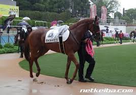 父名 グラスワンダー 母父名 スペシャルウィーク の競走馬検索 競馬データベース Netkeiba Com