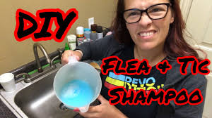 DIY flea and tic shampoo- it works