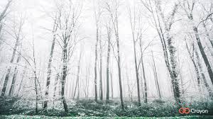 24 Free Winter And Holiday Backgrounds For Microsoft Teams Crayon Us Christmas is coming and it is time to prepare. holiday backgrounds for microsoft teams
