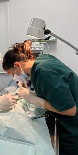 Clinique vétérinaire BELLEDONNIA