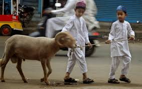 Contoh surat permohonan daging qurban it also will feature a picture of a kind that could be seen in the gallery of contoh surat permohonan daging qurban. Surat Permohonan Hewan Qurban Wahyudin Bin H Join