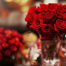 flowers on twitter رمزيات بلاك بيري رمزيات ورد صور ورد رمزيات wallpapers flowers http t co b99dbxqtw0