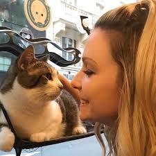 La moda de los "cafés de gatos", puro ronroneo y relax