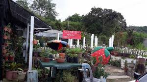 8 tempat pelancongan menarik ranau sabah. 46 Tempat Menarik Di Kundasang Ranau Kemaskini 2020 Infosantai