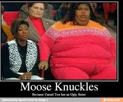 N/a, it has 106.7k views. Camel Toe Moose Knuckle Meme Painted