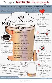 Komucha De Compagnie Kombucha Champignon Flore Intestinale