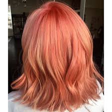 Dyed my hair blonde with schwarzkopf nordic blonde extreme lightener and my the roots of my hair turned to this gives me this peachy, pink blondish hair. Vibrant Rosy Peach Haircolor Formula Behindthechair Com