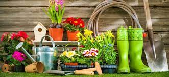 However, you don't need an entire shed outfitted with tools for each and every type of plant you plan to grow. Everything You Need To Know To Start Your Own Garden