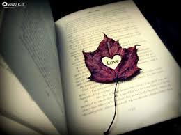 Image result for u202bگل خشک لای کتابu202c
