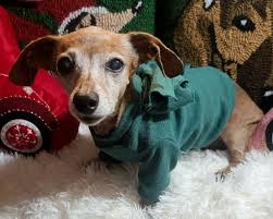 What's the best color for a classic car?