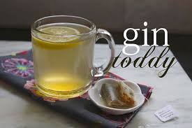 Gin Toddy Shutterbean Toddy Recipe Hot Toddies Recipe Gin