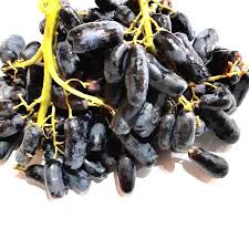 We did not find results for: Anggur Hitam Moondrop Sweet Shappire Manis Tanpa Biji Shopee Indonesia