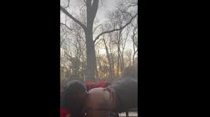 Lunch at the park with @tsperlaa