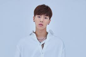 I'm going to a monsta x concert soon and it would be nice to meet some new people at the concert. The Untold Truth Of Monsta X Member Shownu Kpop Wiki