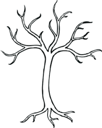 Black And White Outline Fall Tree Clipart Tree Clip Art Black And White Coloring Bare Tree Clip Art Vector Clip Art Online Royalty Free Tree Coloring Page Bare Tree Tree Drawing