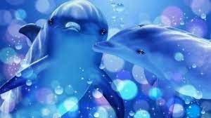We did not find results for: Cute Dolphin Wallpapers Wallpaper Cave