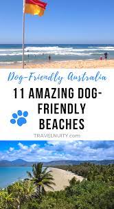 11 Amazing Dog Friendly Beaches In Australia Travelnuity Dog Friendly Beach Dog Friends Beach