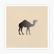 Story of swan and the foolish tortoise in hindi. Arabian Camel Stickers Redbubble