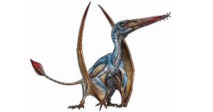 Despite this, many people erroneously call the latter two species dinosaurs. Different Types Of Flying Dinosaurs Novocom Top