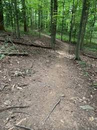 The natural surface trail is open to hikers and bikers but not equestrians. Cabin John Trail Mountain Bike Trail Rockville Maryland