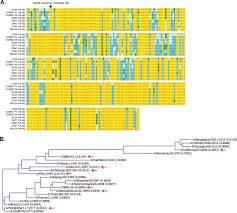 The meeting crispr (clustered regularly interspaced short palindromic repeats) is an interesting and relatively new topic. Development Of A Pan H1 Influenza Vaccine Journal Of Virology