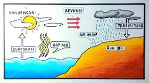 Siklus krebs terjadi dalam 2 fase. Gambar Siklus Air Siklus Air Dan Penjelasannya Youtube