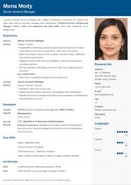 Check out the pdf cv templates available to use within our cv maker. 18 Professional Cv Formats Curriculum Vitae To Download