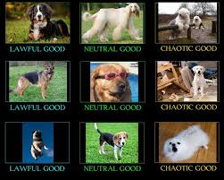 Woofers Doggos And Puppers Alignment Chart Rarepuppers