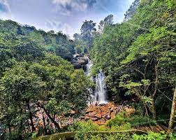 River shimsha, 11.5 km (7.1 mi) from halaguru on hn 209 suthanabbe falls or hanumanagundi falls: Sirimane Falls Chikmagalur When To Visit Images Videos Guide