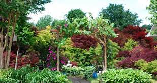 Many hard to find japanese maple tree cultivars. 12 Japanese Maples For A Sunny Garden