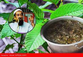 Maybe you would like to learn more about one of these? Awas Inilah Sebab Meminum Air Ketum Menjadi Haram Seperti Meminum Arak Infoje Org