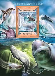 Image result for Leucas capensis