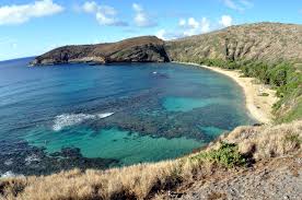 I had four sets of visitors while living there, and hanauma bay was on my map as a. The Conversation What S Happened At Hanauma Bay Since The Covid 19 Crisis Hawaii Public Radio