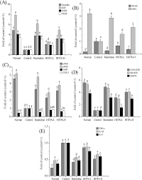 Maybe you would like to learn more about one of these? Hunan Insect Tea Polyphenols Provide Protection Against Gastric Injury Induced By Hcl Ethanol Through An Antioxidant Mechanism In Mice Food Function Rsc Publishing Doi 10 1039 D0fo02677h