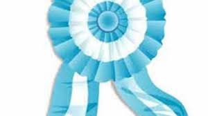 Copla a la escarapela /o le di e a una paloma del palomar de la escuela 01uisiera una flor del cielo0, y tra o una escarapela. Sabias Que La Escarapela Nacional No Se Creo Un 18 De Mayo El Diario De Carlos Paz