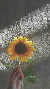 Sebab bunga matahari, selalu bergerak ikuti arah see, that's what the app is perfect for. Halaman Download 40 Gambar Wallpaper Tumblr Bunga Matahari Terbaik Riwayat Ga