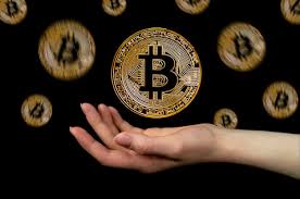 Learn about btc value, bitcoin cryptocurrency, crypto trading, and more. Latest Bitcoin News Bitcoin Price Freebitco In Blog