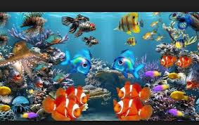 Tetapi ikan hias air tawar ini tidak hanya dipelihara saja, kini banyak juga orang yang membudidayakannya dan menjadikannya salah satu peluang bisnis. Daftar Harga Ikan Hias Air Tawar Terlengkap Semua Kategory Sekarang Ini