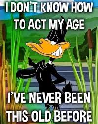 Everything Is Funny 2.0