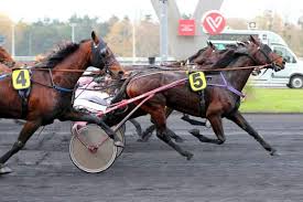 Thats not to say that you can't get a nice gand. Quinte Pmu Pronostic Du Prix De Bar Le Duc 2 Janv 2021