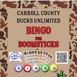 Carroll County Bingo Event