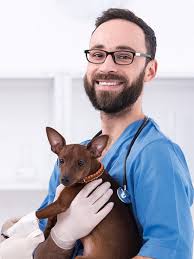 A consolidação da Medicina Veterinária e da Zootecnia