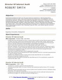Certified public accountant of kenya. Director Of Internal Audit Resume Samples Qwikresume