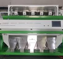 High Capacity 5 Chutes Pepper Color Sorter Seed Selector ...