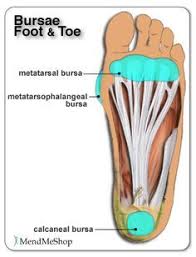 Plantar And Foot Anatomy Bursae Can Become Inflamed With Bursitis Bursitis Bursitis Foot Foot Anatomy