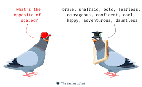 44 Scared Antonyms Full List Of Opposite Words Of Scared Today i want to answer a student question about the phrases i'm afraid and i'm scared. opposite words of scared