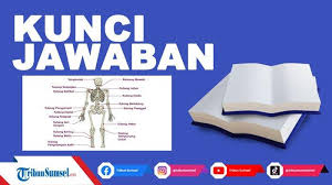 We did not find results for: Ini Fungsi Tulang Pergelangan Kaki Tulang Lengan Tulang Hasta Dan Tulang Pergelangan Tangan Tribun Sumsel