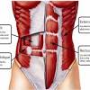 As the abdominal muscles are hard to support externally, treatment involves rest and pain medication. 1